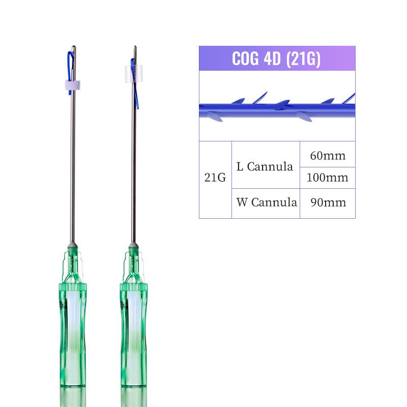 H9bdf2d6ea65c4e0189f8b6ba9b8441a62